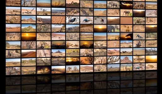 Die besten TV-Sender für Dokumentationen | © istock.com/kamadie