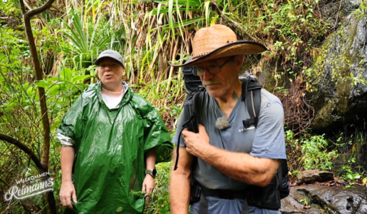 © Screenshot Kabel Eins