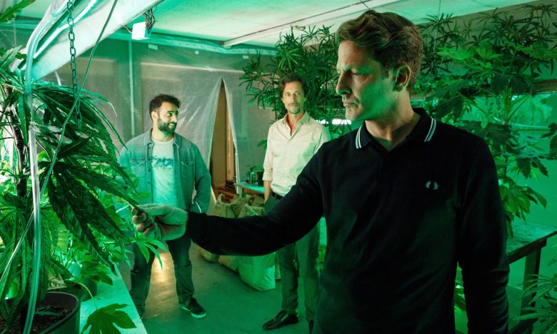 Friesland: DAS hat Bestatter Habedank mit der Cannabis-Plantage vor