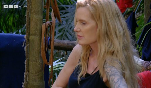 „Dschungelcamp“: Promis fassungslos über Mirja du Monts Aus: „Was ist mit den Zuschauern los?“ | © RTL
