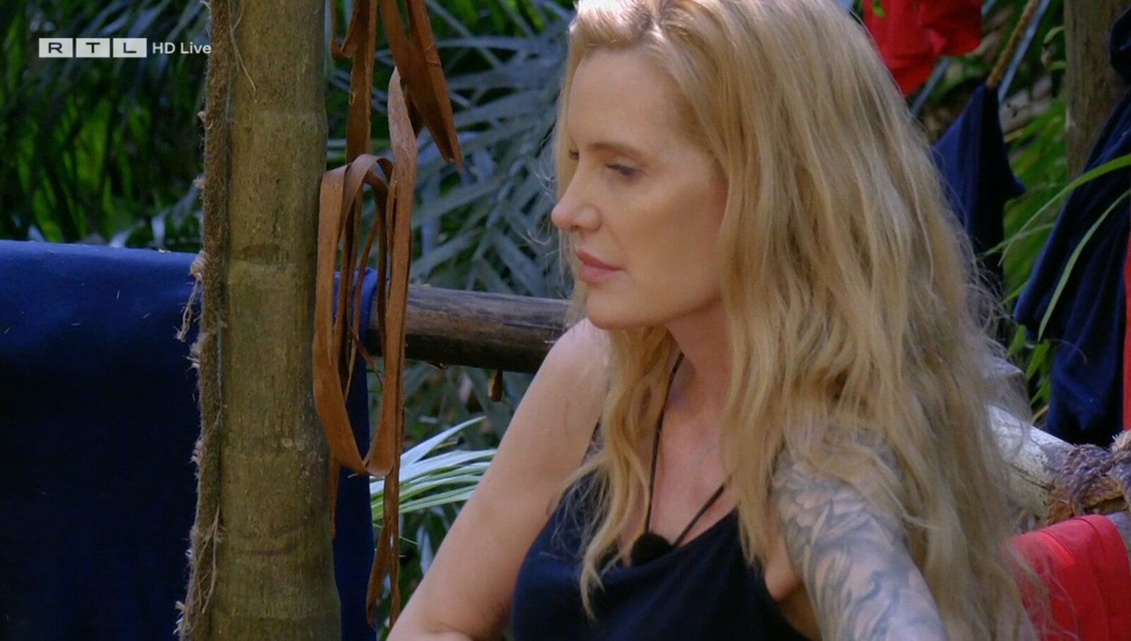 „Dschungelcamp“: Promis fassungslos über Mirja du Monts Aus: „Was ist mit den Zuschauern los?“ | © RTL