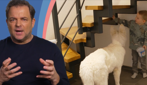 © Screenshot Vox / RTL +