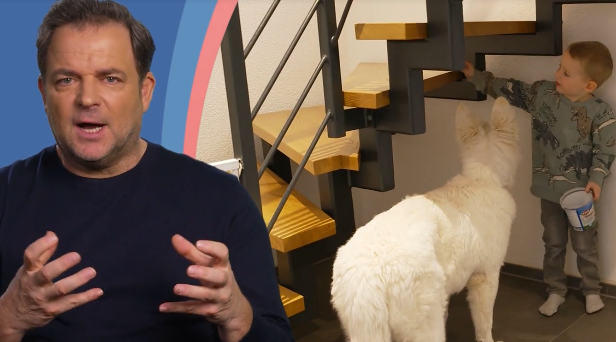  | © Screenshot Vox / RTL +