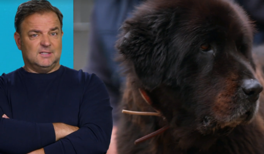 © Screenshot Vox / RTL +