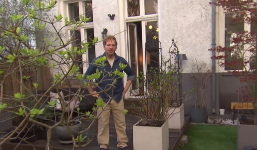 © Screenshot Vox / RTL +