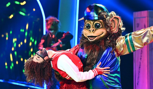 "The Masked Dancer": Die Show hat bei ProSieben keine Zukunft. | © ProSieben