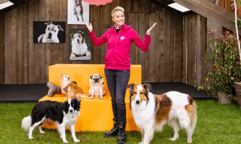 „Mein Hund fürs Leben“: Sonja Zietlow moderiert „Herzblatt“ für Hunde